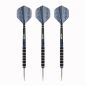 Preview: 24 g Steel Dartset (3 Stk) Robert Thornton SE 95% Tungsten alloy