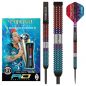 Preview: Steel Darts (3 pcs) Peter Wright Spirit