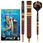 Preview: Steel Darts (3 pcs) Peter Wright Copper Fusion