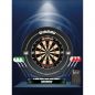 Preview: Professional Winmau Dartboard All Inclusive Set