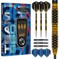 Preview: 22g Steel Darts Bradley van der Velden Team 360