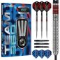 Preview: 23g Steel Darts Lewis Cook Team 360