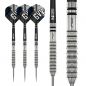 Preview: Gian van Veen Tour Edition Dart Set 22g
