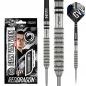 Preview: Gian van Veen Tour Edition Dart Set 22g