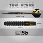 Preview: Gian van Veen 50 Years S.E. Steel Darts 21g