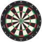 Preview: Dartboard Aspar Professional