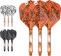 Preview: INK Flight & Schaft Kit Raimond van Barneveld