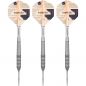 Preview: Steel Darts (3 pcs)  Raymond Van Barneveld 25 95% SP 2023