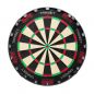 Preview: Dartboard TOR Target Professional