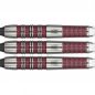 Preview: 18g Soft Dartset The Bullet Stephen Bunting G5 90%