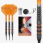 Preview: Target Raymond van Barneveld RVB 95K 20g Soft Tip Darts 2026