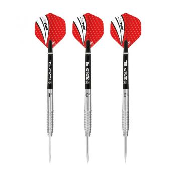 Steel Dartset (3 Stk) Dot D1