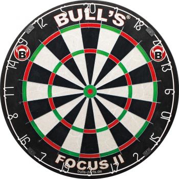 Dartboard Bristle Focus II