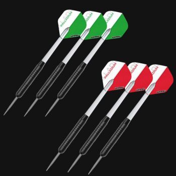 Professional Winmau Dartboard All Inclusive Set