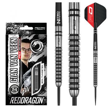 Steel Darts Gian van Veen