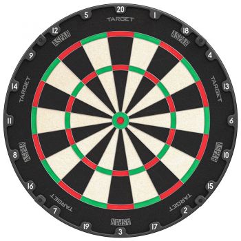 Dartboard Aspar Professional