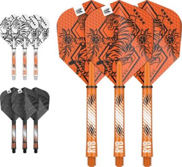 INK Flight & Schaft Kit Raimond van Barneveld