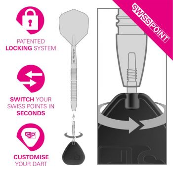 Preview: Wechselspitze Swiss Storm Onyx