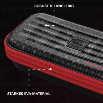 Dart case Takoma Nathan Aspinall 2025