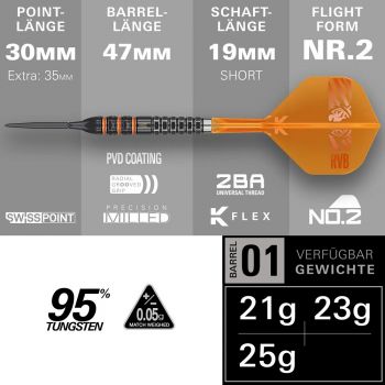 Target Raymond van Barneveld RVB 95K Swiss Point Steeldarts 2026 – 21g / 23g / 25g