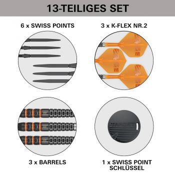 Target Raymond van Barneveld RVB 95K Swiss Point Steeldarts 2026 – 21g / 23g / 25g