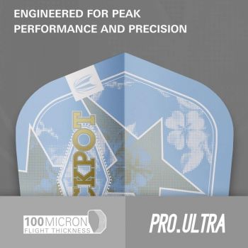 Target Adrian Lewis Showdown Pro Ultra No.6 Flights