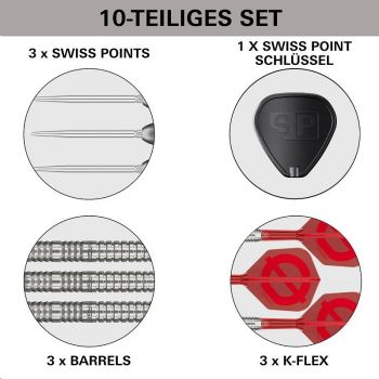 Target GROUP Ø 50% 03 SP Steeldarts 2026