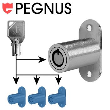 Push lock Pegnus KA C1403