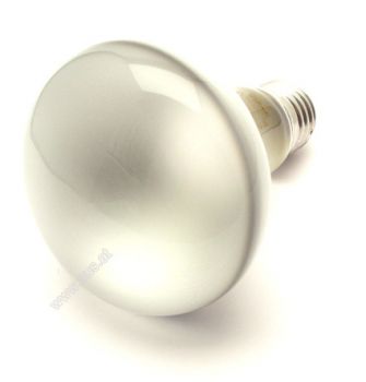 Reflector Lamp 60 Watt R80