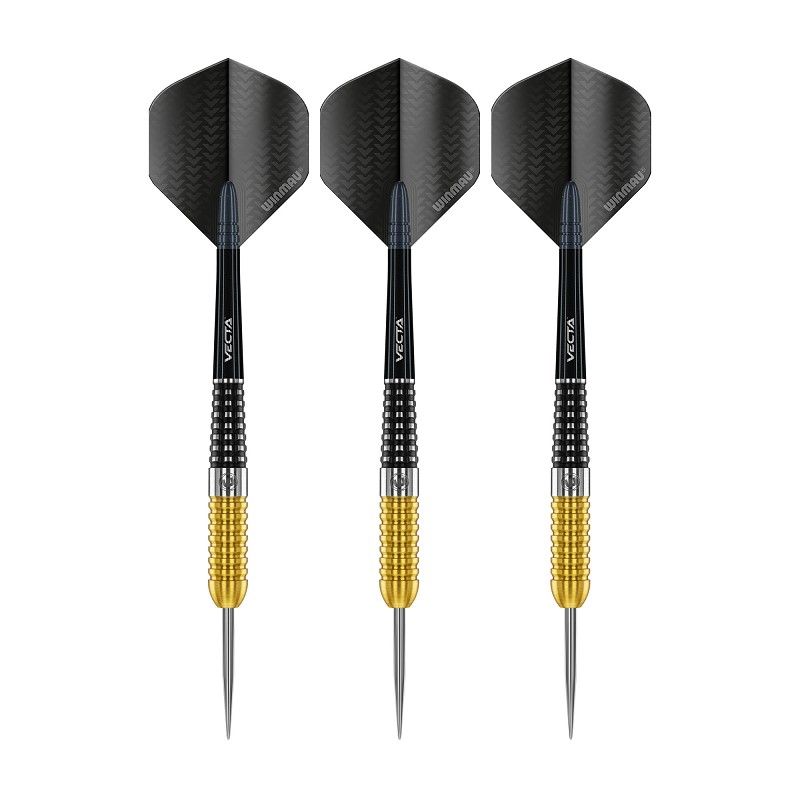 Steel Dartset (3 Stk.) Steve Beaton Special Edition