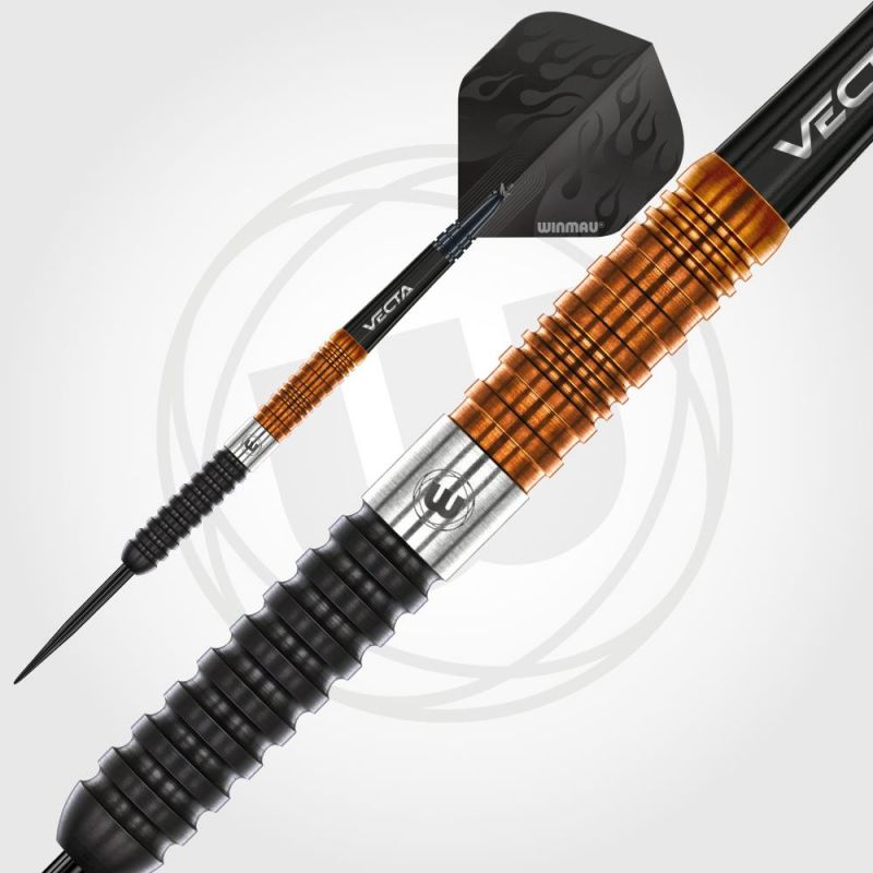 23g Steel Darts Ben Townley Team 360