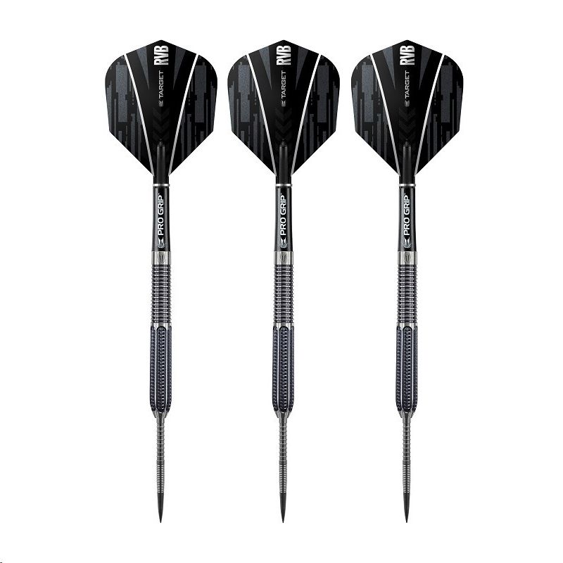 Steel Dartset (3 Stk) Raymond van Barneveld RVB 95