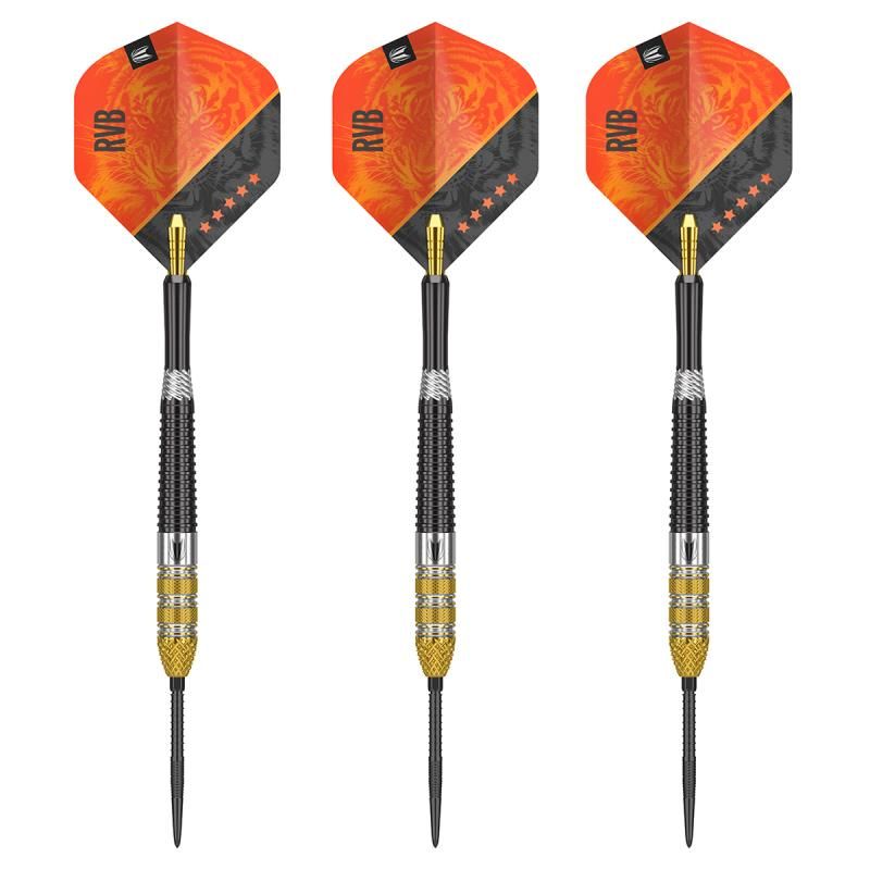 Steel Dartset (3 Stk) Raymond Van Barneveld Generation 4 Swiss Point