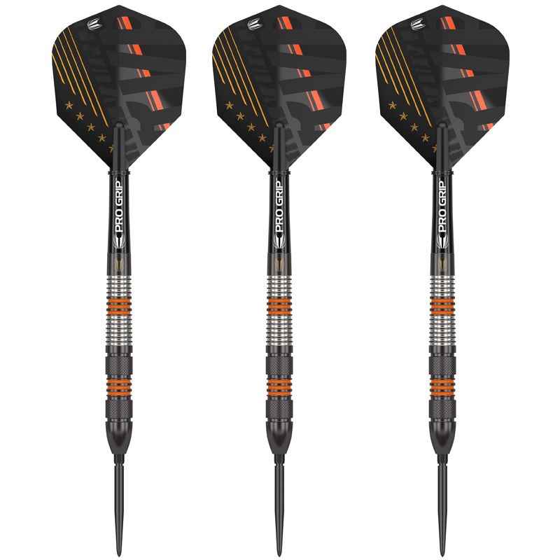 Steel Dartset (3 Stk) Raymond Van Barneveld 80% Black SP 2023