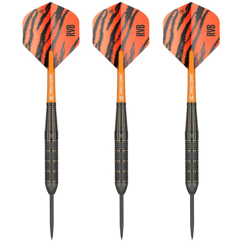 Steel Dartset (3 Stk) Raymond van Barneveld Brass 22g 2023