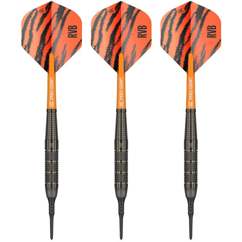 Soft Dartset (3 Stk) Raymond van Barneveld Brass 18g 2023