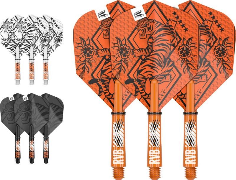 INK Flight & Schaft Kit Raimond van Barneveld