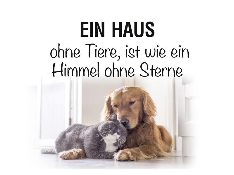 Metall sign hangers Haus ohne Tiere, ist wie Himmel ohne Stern