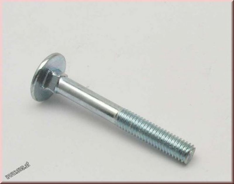 Torband Screw M5x40mm