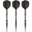 Steel Darts  (3 pcs)  Raymond Van Barneveld 80% Black SP 2023